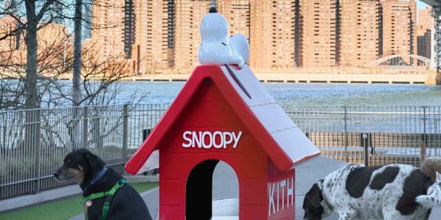Kith-Brings-Snoopys-Doghouse-to-Domino-Park.jpg Kith Brings Snoopy's Doghouse to Domino Park