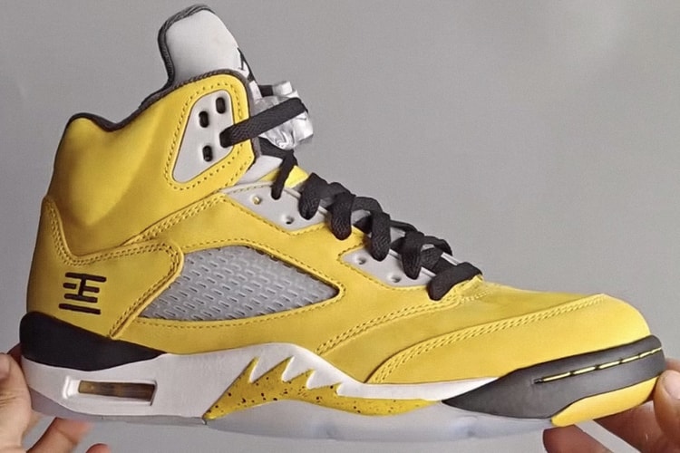 The Air Jordan 5