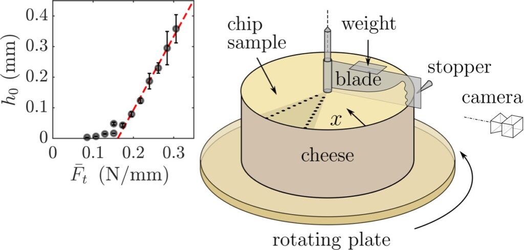 Schematic illustration of the experimental setup