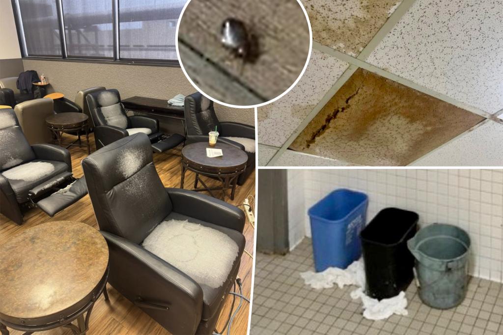 Fed-up American Airlines employees blow the whistle on 'deplorable' lounges Fed-up American Airlines employees blow the whistle on 'deplorable' lounges