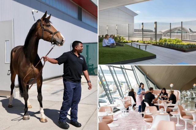JFK survival guide: 4 secret finds at NYC's busiest airport