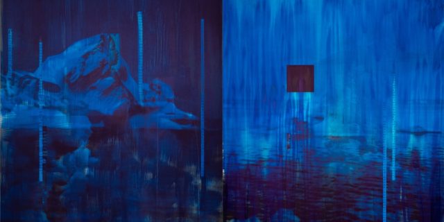 Lorna Simpson: Source Notes Opens at Met Museum