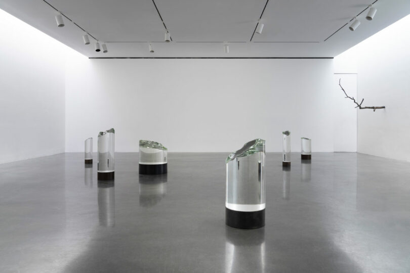 Glass sculptures in gallery