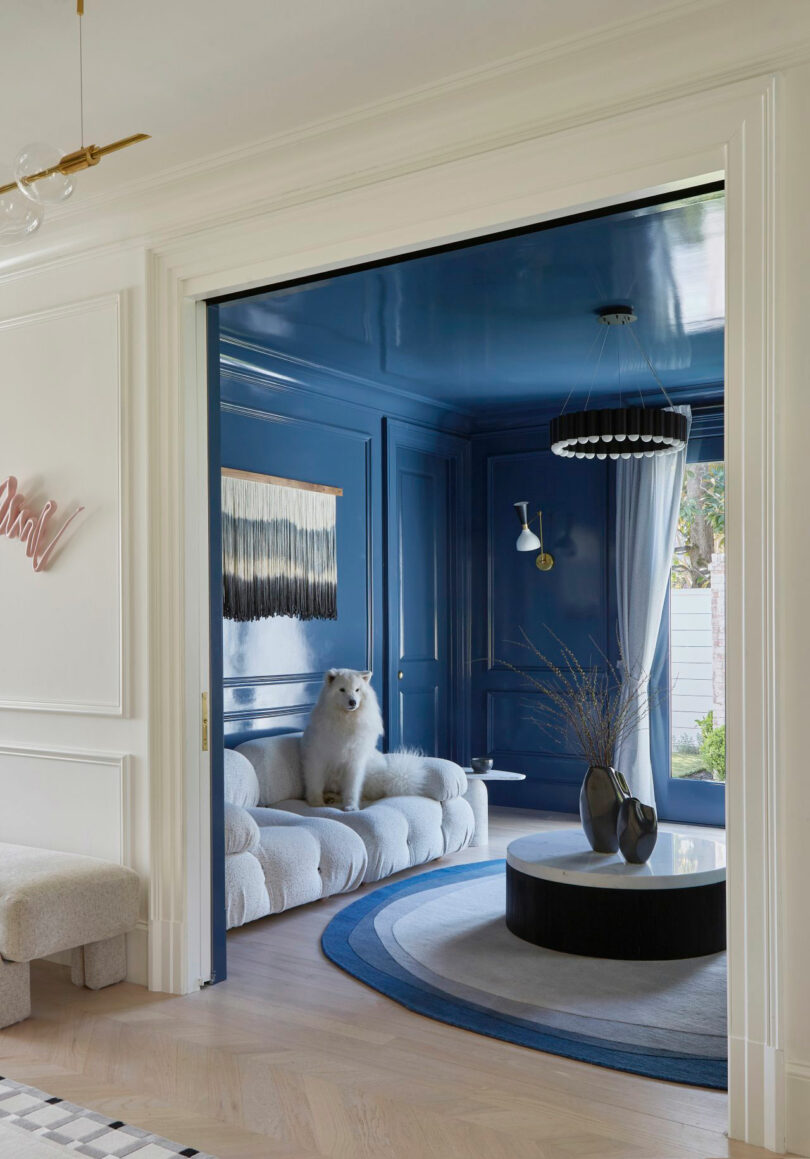 A white fluffy dog sits on a tufted cream sofa in a room with glossy blue walls, a round black coffee table, and a circular blue rug, capturing Tina Ramchandani's signature sophisticated style.