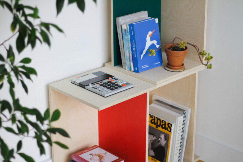 A wooden shelf holds books, a calculator, a potted trailing plant, and a red box; a leafy plant is partially visible in the foreground.