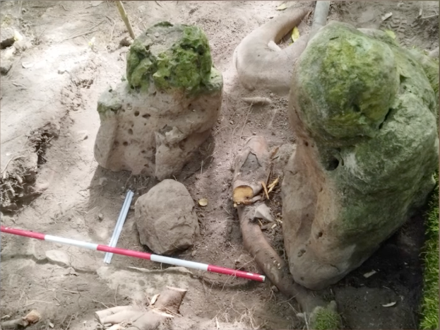 3000-Year-Old-Mayan-Complex-Uncovered-in-Guatemala.png 3,000-Year-Old Mayan Complex Uncovered in Guatemala