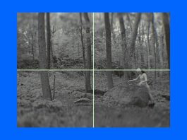 Dogs, Dervishes, Dendrochronology: Im Youngzoo Wins the Frieze Seoul Artist Award