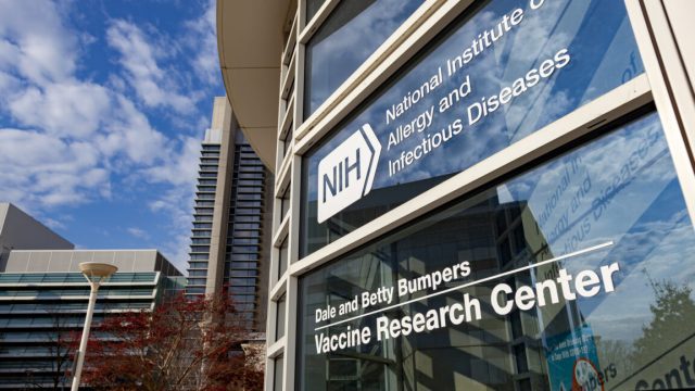 Have-we-no-shame-Trumps-NIH-grant-cuts-appallingly-illegal.jpg “Have we no shame?”: Trump’s NIH grant cuts appallingly illegal, judge rules