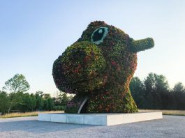 POTOMAC, MD - JULY 10, 2017: Jeff Koonss sculpture Split-Rocker at Glenstone is composed of tens of thousands of flowering plants. This side is the dinosaur side, which is made up of magenta, orange, and yellow flowers. (Photo by Jennifer Heffner for The Washington Post via Getty Images)