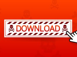 Judge: Pirate libraries may have profited from Meta torrenting 80TB of books