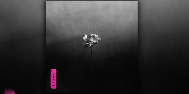 Little-Simz-Shares-Latest-Studio-Album-Lotus.jpg Little Simz Shares Latest Studio Album, 'Lotus'