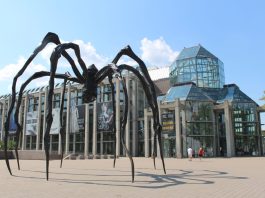 Major Gift to National Gallery of Canada, and More