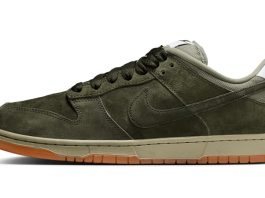Nike SB Dunk Low Pro B Sequoia HJ0367-300 Release
