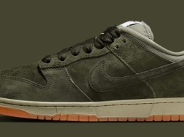 Nike SB Dunk Low Pro B "Sequoia" HJ0367-301 Release Date