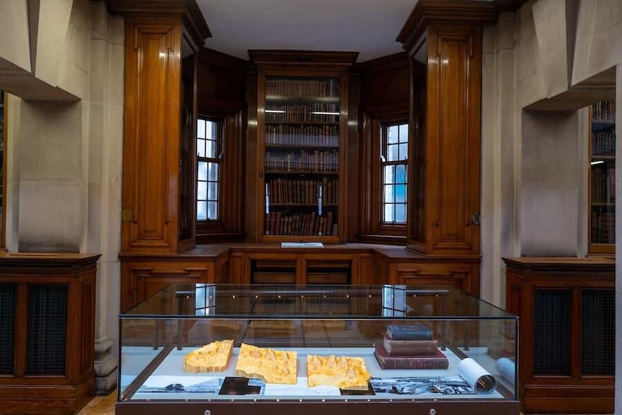Art in library case