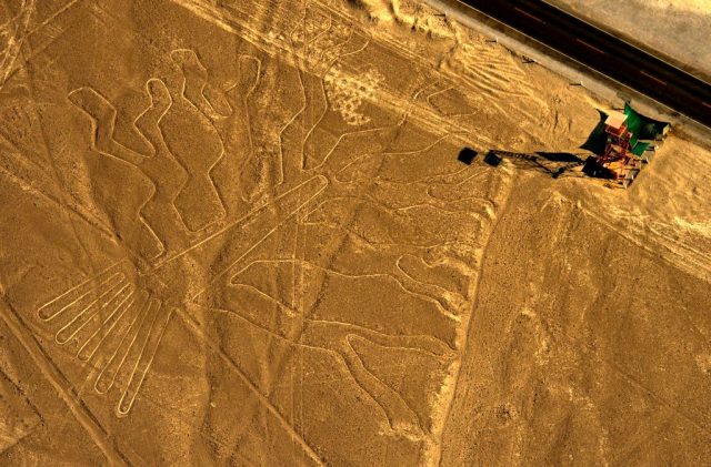 Peru-Halves-Protected-Area-Near-Nazca-Lines.jpg Aerial view of the geoglyph known as the Guarango Tree at Nazca Lines, south of Lima, Peru, 2014.