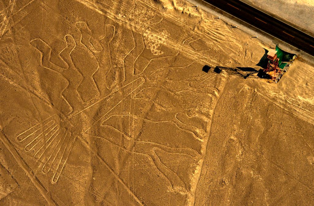 Peru-Halves-Protected-Area-Near-Nazca-Lines.jpg Aerial view of the geoglyph known as the Guarango Tree at Nazca Lines, south of Lima, Peru, 2014.