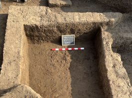 Excavation trench showing mudbrick layers and a foundation wall at Tell al-Faraun.