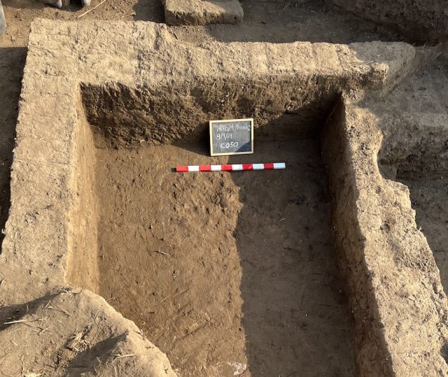 Ruins-of-Imet-Reveal-Daily-Life-in-a-Long-Buried-Capital.jpg Excavation trench showing mudbrick layers and a foundation wall at Tell al-Faraun.