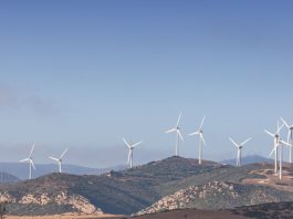 Image of a dry, brown hillside with lots of small scrub, and white wind turbines in the background.