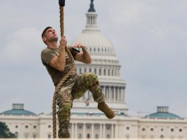 Trump Military Parade and 'No Kings' Protests: Compare