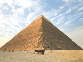Trump Travel Ban Review: Why Egypt Stands Out