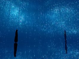 UBS Digital Art Museum Debuts with teamLab Borderless Hamburg