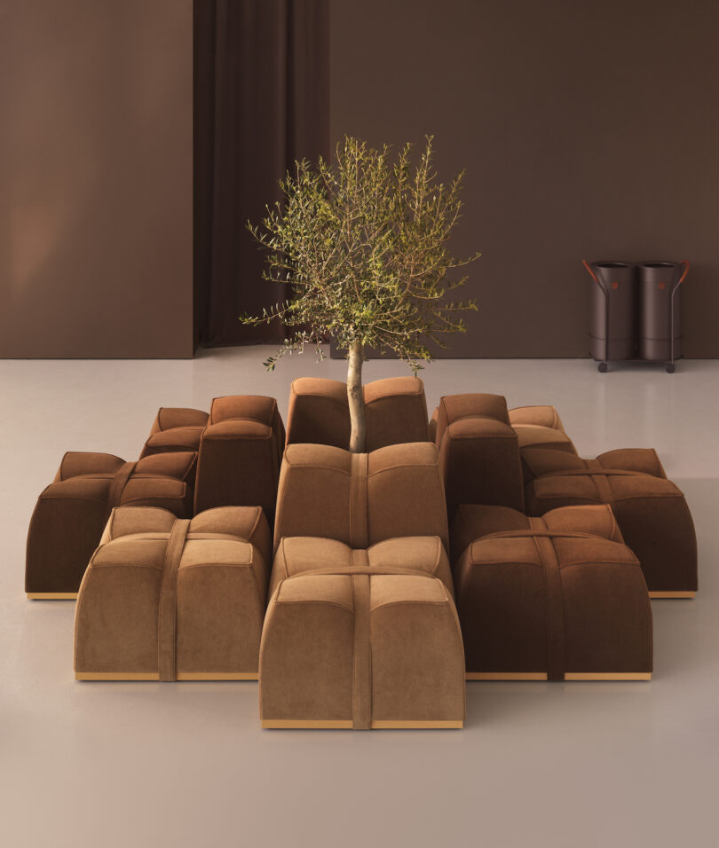 A small tree grows from the center of a seating arrangement made of brown and tan cushioned blocks in a modern, minimal room with brown walls and two bins in the background