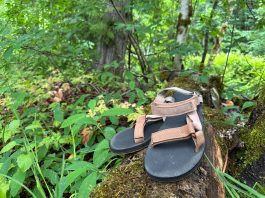 the teva original universal sandals sit on a log in washington state, surrounded by green spring growth