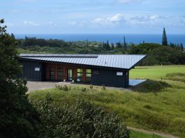 Maui Home Blends Modern Minimalism With Climate-Savvy Design