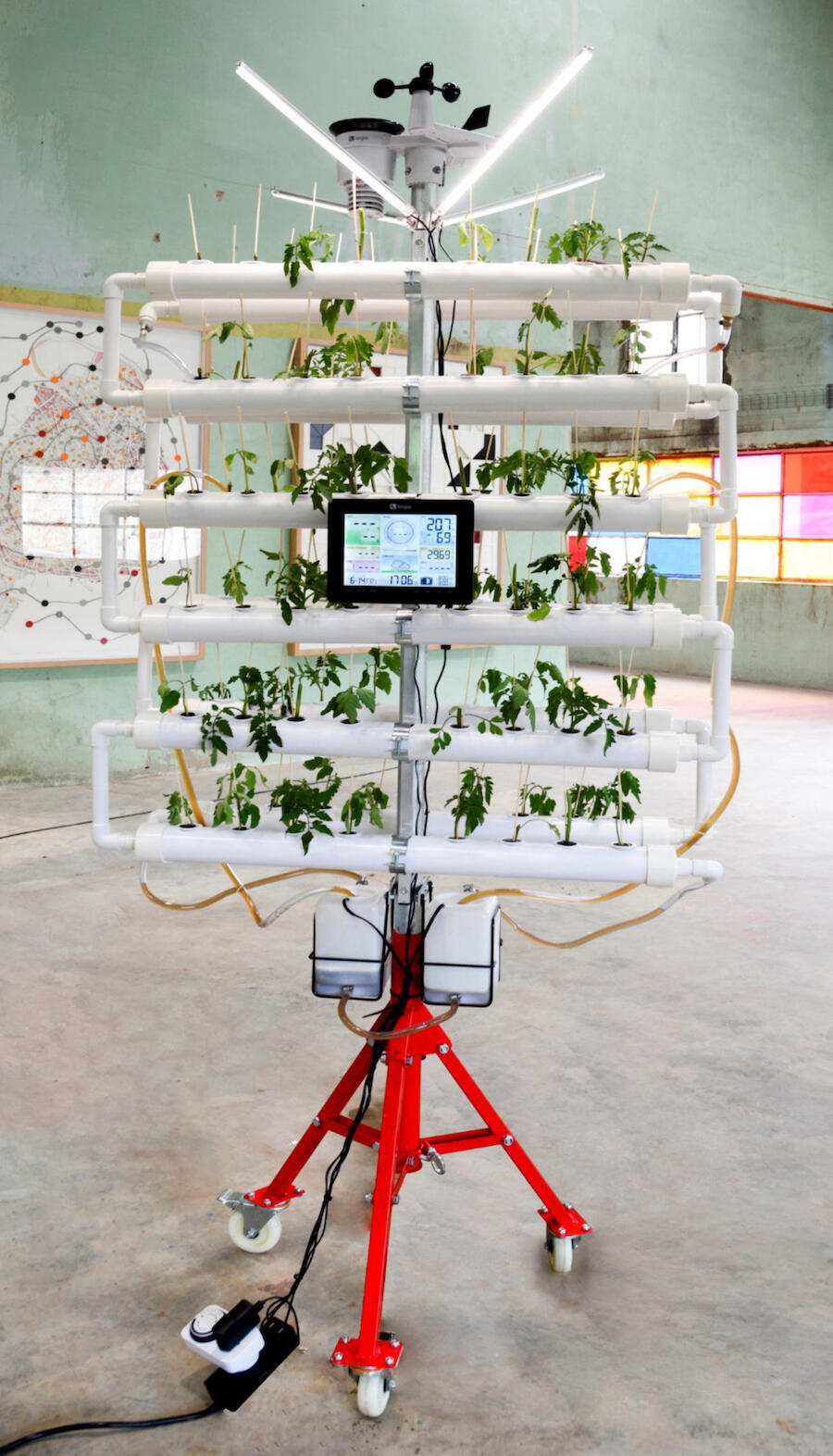 Alex Hernández-Dueñas and Ariamna Contino, Hydroponic, tomato plants, ‘Cartografía Total’, 2024. Hydroponic system, tomato plants, LED grow lights, weather station, LCD screen and tripod. Variable dimensions. Courtesy: the artist and El Apartamento