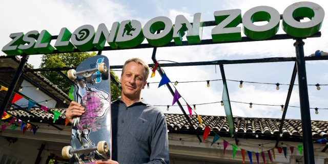 An-Interview-with-Skateboarding-Legend-Tony-Hawk.jpg An Interview with Skateboarding Legend Tony Hawk