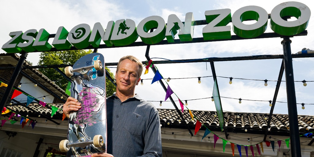 An-Interview-with-Skateboarding-Legend-Tony-Hawk.jpg An Interview with Skateboarding Legend Tony Hawk