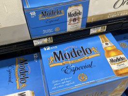 Constellation Brands (STZ) Q1 2026 earnings