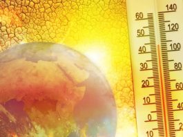 European Tourism: Heatwave Leads to Climate Change Discussions