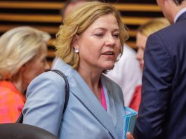 Europe’s top CEOs ask EU to pause AI Act 