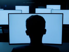 Person, desktop or blue screen at night in information technology lab with back of developer or programmer. Software development, networking and system administration for computer or connection