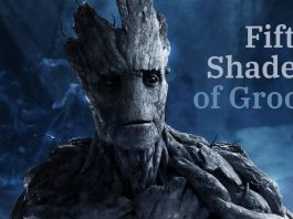 Fanfic study challenges leading cultural evolution theory