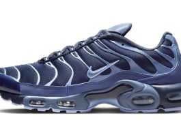 Official Look Nike Air Max Plus "Obsidian/Aluminum"