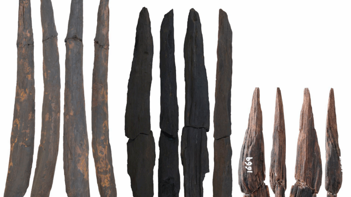 Oldest-wooden-tools-in-East-Asia-may-have-come-from.png photo of several wooden digging sticks