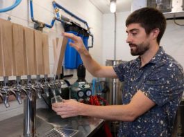 Rice could be key to brewing better non-alcoholic beer