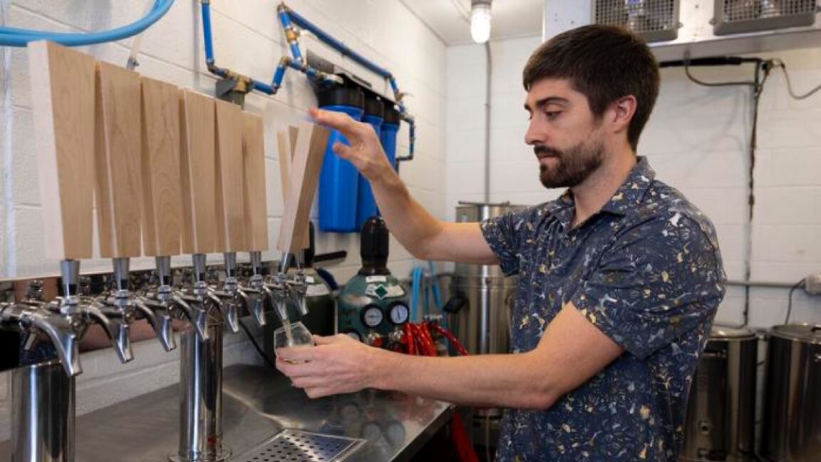 Rice-could-be-key-to-brewing-better-non-alcoholic-beer.jpg Rice could be key to brewing better non-alcoholic beer