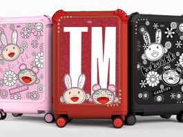 Takashi Murakami x CASETiFY Luggage Line Info